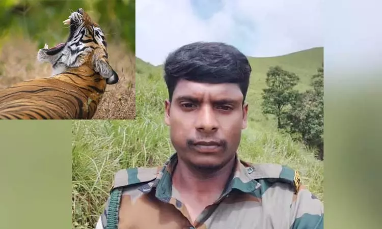 வனத்துறை காவலரை அடித்துக்கொன்ற புலி