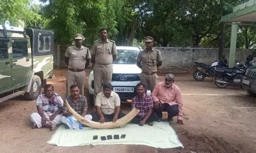 மதுரை: யானை தந்தத்தை விற்பனை செய்ய முயன்ற 5 பேர் கைது மதுரை: யானை தந்தத்தை விற்பனை செய்ய முயன்ற 5 பேர் கைது