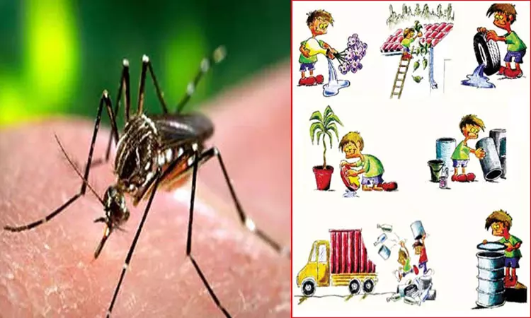 டெங்கு காய்ச்சல் வராமல் பாதுகாக்க மக்கள் செய்ய வேண்டியது என்ன?