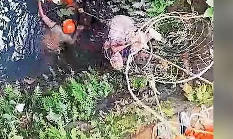 12 மணிநேரமாக கிணற்றுக்குள் தத்தளித்த முதியவர் மீட்பு