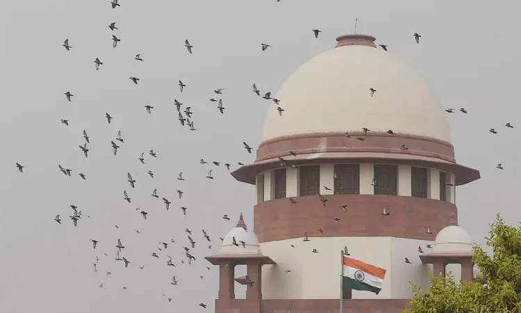 சிறுநீரக மோசடி வழக்கு: ஐகோர்ட்டு உத்தரவை எதிர்த்த தமிழக அரசு மனு மீது இன்று விசாரணை சிறுநீரக மோசடி வழக்கு: ஐகோர்ட்டு உத்தரவை எதிர்த்த தமிழக அரசு மனு மீது இன்று விசாரணை