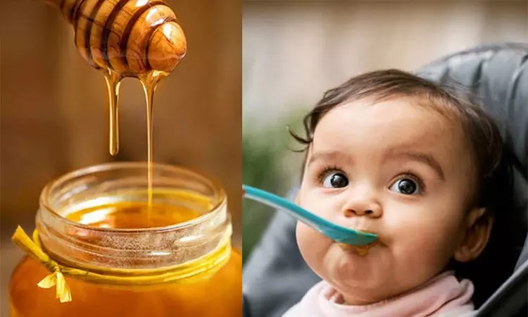 பச்சிளம் குழந்தைக்கு தேன் கொடுக்கலாமா? - அப்படியானால் இதை தெரிந்து கொள்ளுங்கள்