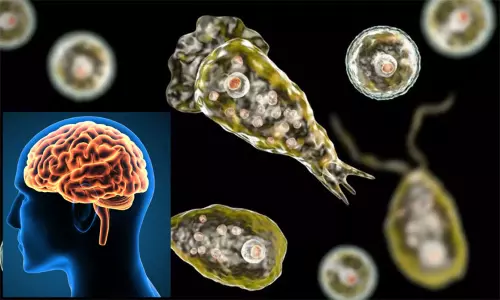 மூளையை உண்ணும் அமீபா... தற்காத்துக் கொள்ளும் வழிமுறைகள் என்ன?