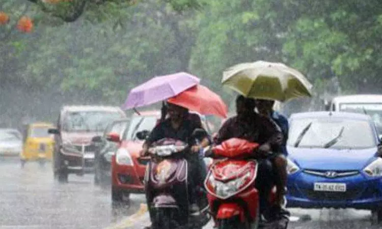 காலை 7 மணி வரை 9 மாவட்டங்களில் மழைக்கு வாய்ப்பு காலை 7 மணி வரை 9 மாவட்டங்களில் மழைக்கு வாய்ப்பு