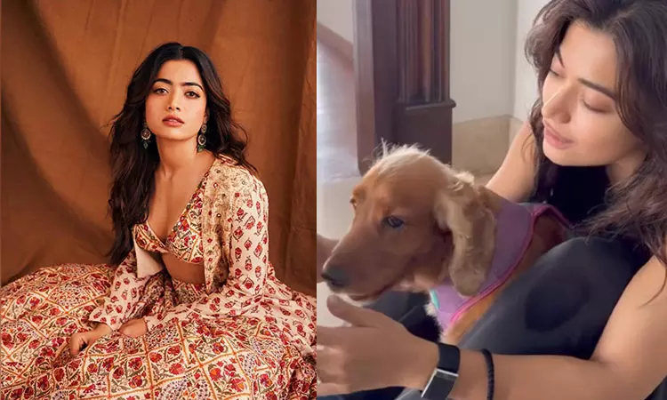 Amidst engagement news... Rashmika posts video with ring- goes viral