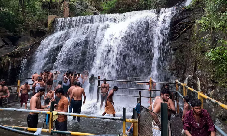 யானைக் கூட்டம் முகாம்: சுருளி அருவிக்கு செல்ல... ... இன்றைய முக்கிய செய்திகள்.. சில வரிகளில்.. 12-10-2025