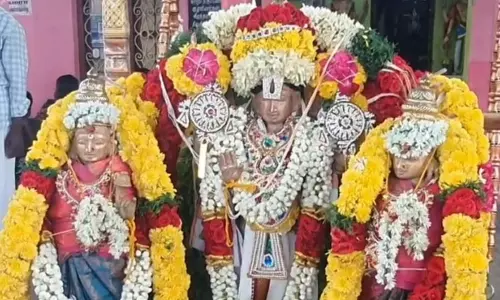 நாகை கன்னித்தோப்பு பெருமாள் கோவிலில் திருக்கல்யாண வைபவம் நாகை கன்னித்தோப்பு பெருமாள் கோவிலில் திருக்கல்யாண வைபவம்