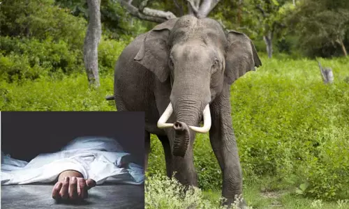 கோவை: காட்டு யானை தாக்கி பச்சிளம் குழந்தை உள்பட 2 பேர் பலி