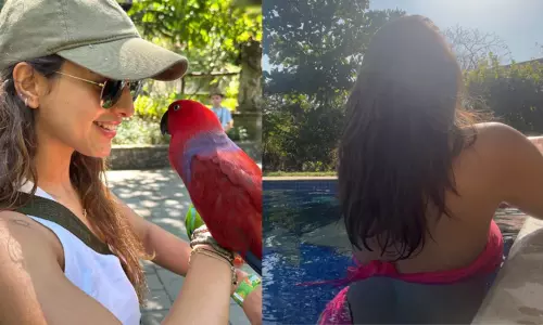 Triptii Dimri to become most popular Indian star of 2024