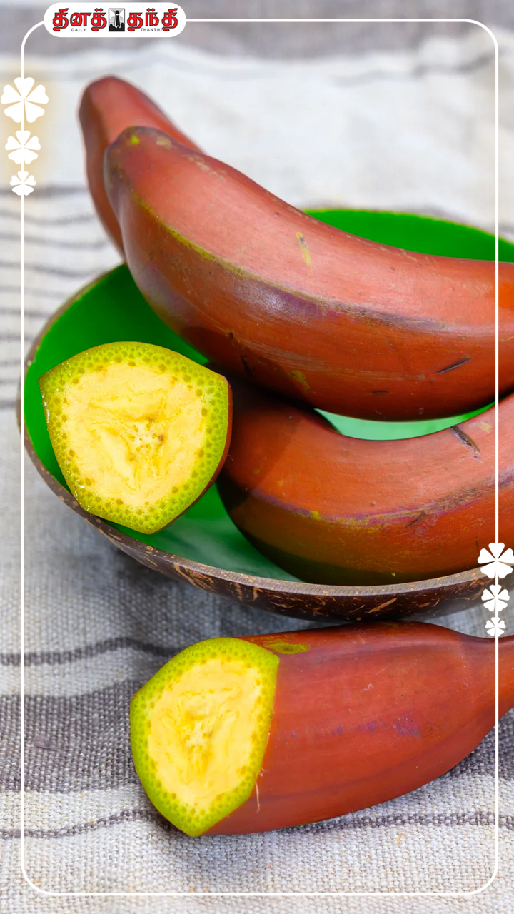 காலையில் வெறும் வயிற்றில் செவ்வாழைப்பழம் சாப்பிடலாமா? காலையில் வெறும் வயிற்றில் செவ்வாழைப்பழம் சாப்பிடலாமா?