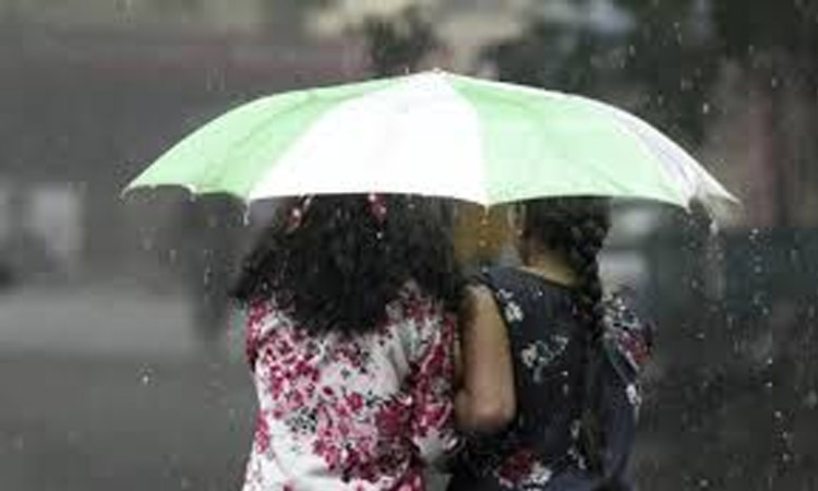 மதியம் 1 மணி வரை மழைக்கு வாய்ப்புள்ள மாவட்டங்கள் எவை?