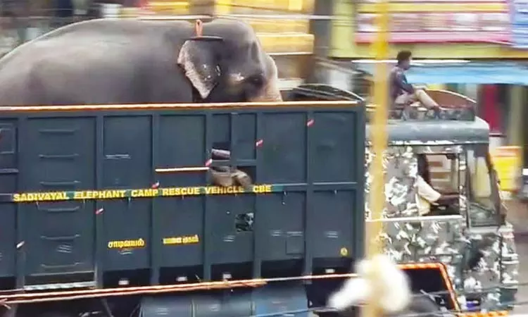 வனத்துறையினருக்கு போக்குகாட்டி வந்த ரோலக்ஸ் யானை... ... இன்றைய முக்கிய செய்திகள் சில வரிகளில்.. 17-10-2025 வனத்துறையினருக்கு போக்குகாட்டி வந்த ரோலக்ஸ் யானை... ... இன்றைய முக்கிய செய்திகள் சில வரிகளில்.. 17-10-2025