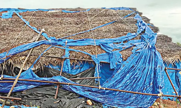 ஆதிச்சநல்லூர் அகழாய்வு குழிகளுக்குள் மழைநீர் புகுந்ததால் பழங்கால தொல்லியல் பொருட்கள் சேதம்