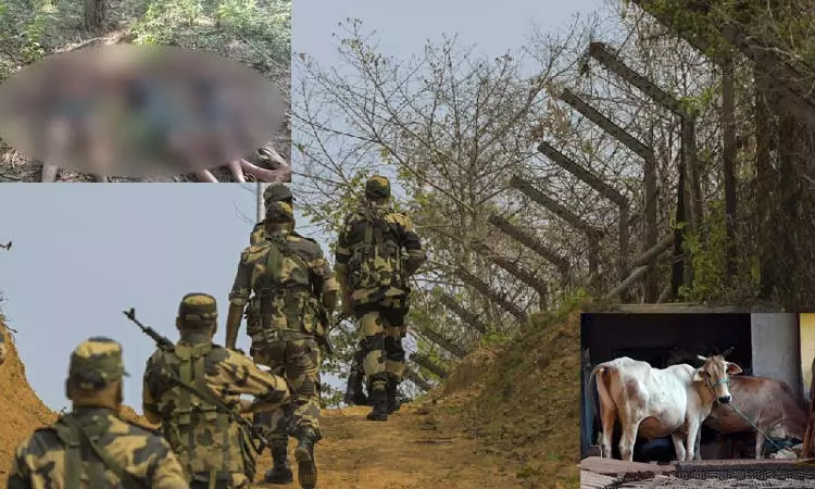 இந்தியாவுக்குள் நுழைந்து மாடுகளை கடத்த முயன்ற வங்காளதேசத்தினர் 3 பேர் அடித்துக்கொலை