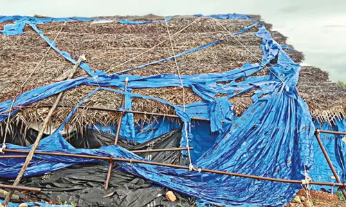 ஆதிச்சநல்லூர் அகழாய்வு குழிகளுக்குள் மழைநீர் புகுந்ததால் பழங்கால தொல்லியல் பொருட்கள் சேதம்