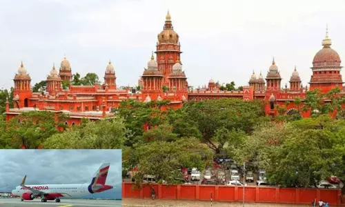 விமான உணவில் முடி - பயணிக்கு ரூ.35 ஆயிரம் வழங்க ஏர் இந்தியாவுக்கு கோர்ட்டு உத்தரவு