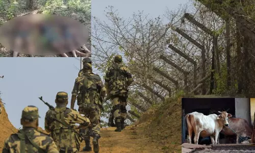 இந்தியாவுக்குள் நுழைந்து மாடுகளை கடத்த முயன்ற வங்காளதேசத்தினர் 3 பேர் அடித்துக்கொலை