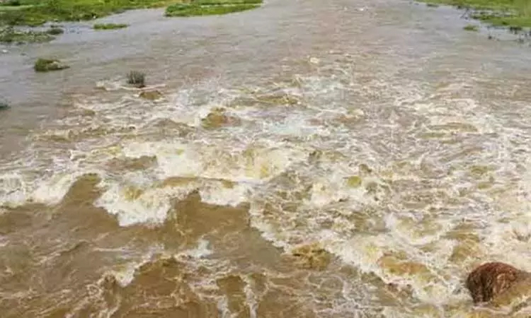 வைகை ஆற்றில் கடும் வெள்ளப்பெருக்கு - விவசாய நிலங்கள் பாதிப்பு