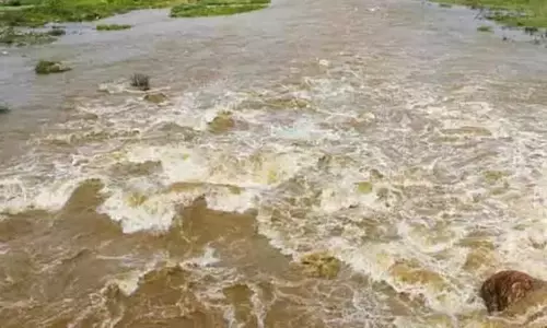 வைகை ஆற்றில் கடும் வெள்ளப்பெருக்கு - விவசாய நிலங்கள் பாதிப்பு