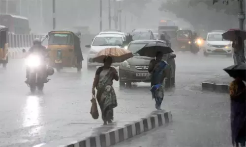 24 மாவட்டங்களில் இரவு 7 மணி வரை மழைக்கு வாய்ப்பு 24 மாவட்டங்களில் இரவு 7 மணி வரை மழைக்கு வாய்ப்பு