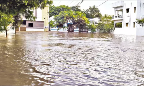 தேனி: முல்லைப்பெரியாற்றின் கரையோரம் 300 வீடுகளை வெள்ளம் சூழ்ந்தது