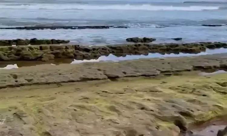 திருச்செந்தூரில் 500 மீட்டர் வரை உள்வாங்கிய கடல் திருச்செந்தூரில் 500 மீட்டர் வரை உள்வாங்கிய கடல்