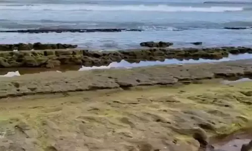 திருச்செந்தூரில் 500 மீட்டர் வரை உள்வாங்கிய கடல்