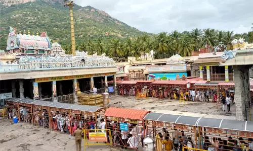 அருணாசலேஸ்வரர் கோவிலில் குவிந்த பக்தர்கள்.. 3 மணி நேரத்திற்கு மேல் காத்திருந்து சாமி தரிசனம் அருணாசலேஸ்வரர் கோவிலில் குவிந்த பக்தர்கள்.. 3 மணி நேரத்திற்கு மேல் காத்திருந்து சாமி தரிசனம்