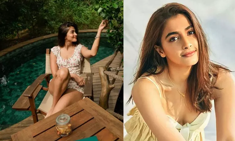 Pooja Hegde’s Wish to Act with Nani Comes True? Pooja Hegde’s Wish to Act with Nani Comes True?