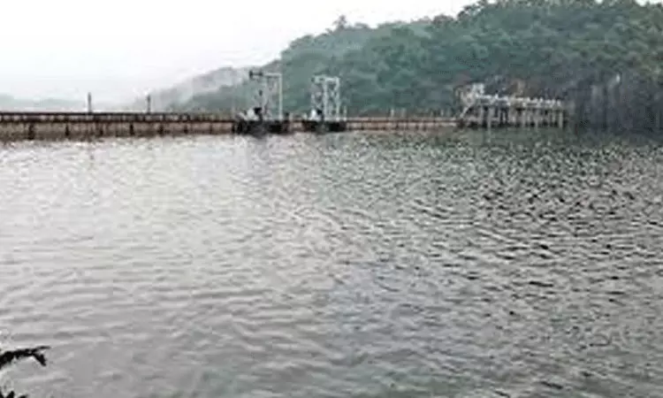 மேற்கு தொடர்ச்சி மலைப்பகுதியில் தொடர் மழை: நெல்லை, தென்காசி மாவட்ட அணைகளில் நீர்மட்டம் கிடுகிடு உயர்வு