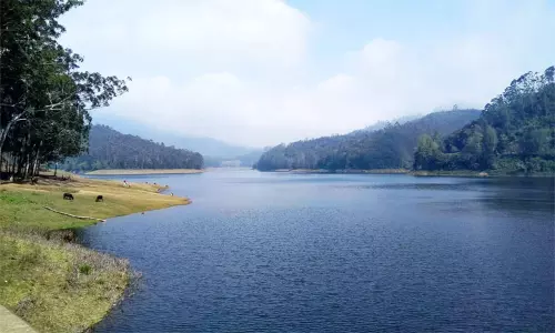 கொடைக்கானல் பேரிஜம் ஏரிக்கு செல்ல 2 நாட்கள் தடை கொடைக்கானல் பேரிஜம் ஏரிக்கு செல்ல 2 நாட்கள் தடை