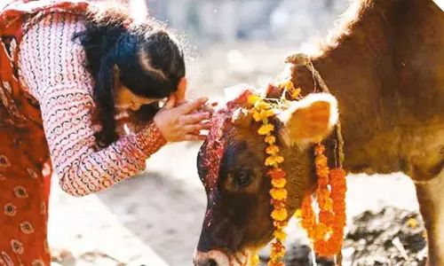 விலங்குகளை பெருமைப்படுத்தும் நேபாள தீபாவளி