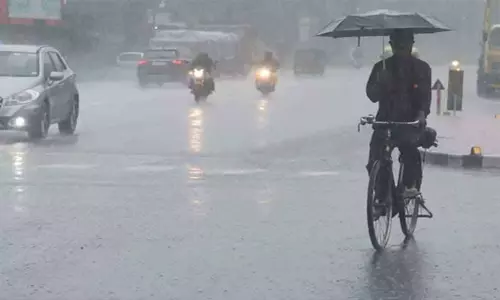 வடகிழக்கு பருவமழை தீவிரம்; கண்காணிப்பு அதிகாரிகள் 12 பேர் நியமனம் வடகிழக்கு பருவமழை தீவிரம்; கண்காணிப்பு அதிகாரிகள் 12 பேர் நியமனம்