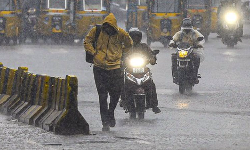 தருமபுரியில் பருவமழை பாதிப்பு - உதவி எண்கள் அறிவிப்பு தருமபுரியில் பருவமழை பாதிப்பு - உதவி எண்கள் அறிவிப்பு