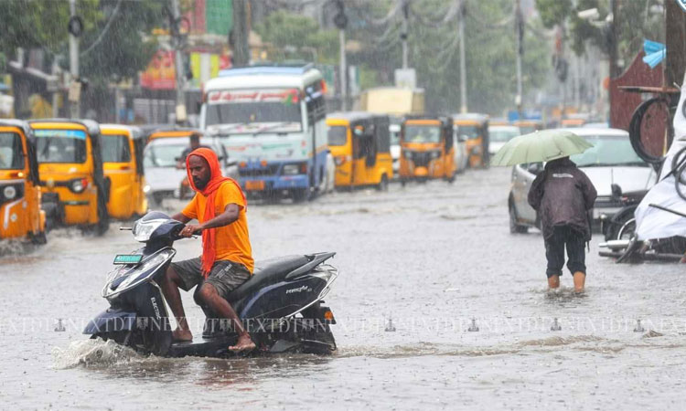 மழை பாதிப்பு: மாநகராட்சி - நகராட்சி கமிஷனர்கள் 24 மணி நேரமும் பணியில் இருக்க தமிழக அரசு உத்தரவு