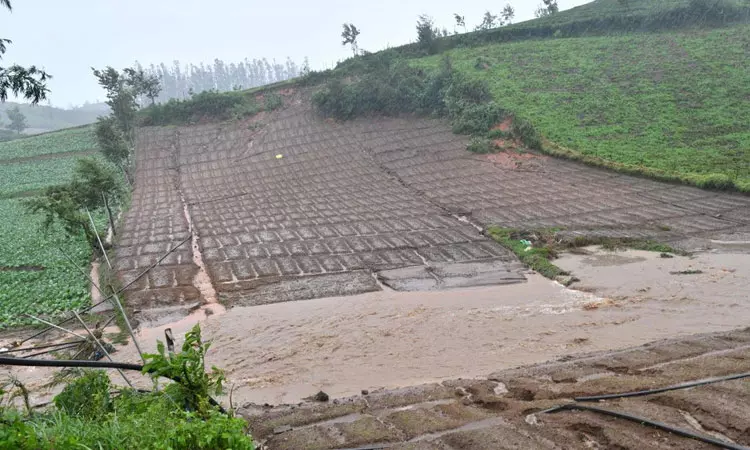 விளைநிலங்களில் தேங்கிய மழைநீர் விளைநிலங்களில் தேங்கிய மழைநீர்