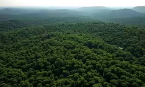 சுற்றுச்சூழல் பாதுகாப்பில் இந்தியா 9-வது இடத்துக்கு முன்னேற்றம் - ஐ.நா. அறிக்கையில் தகவல்