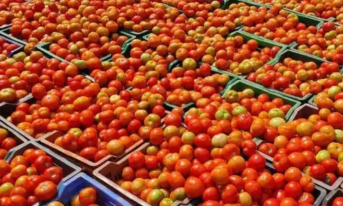 சென்னையில் தக்காளி விலை ‘கிடுகிடு உயர்வு