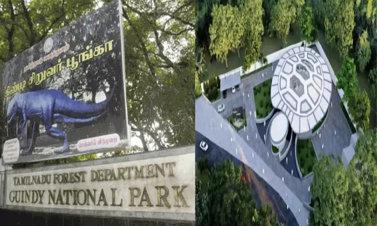 சென்னையில் கடல் ஆமைகள் மறுவாழ்வு மையம்: டெண்டர் கோரியது தமிழக அரசு சென்னையில் கடல் ஆமைகள் மறுவாழ்வு மையம்: டெண்டர் கோரியது தமிழக அரசு