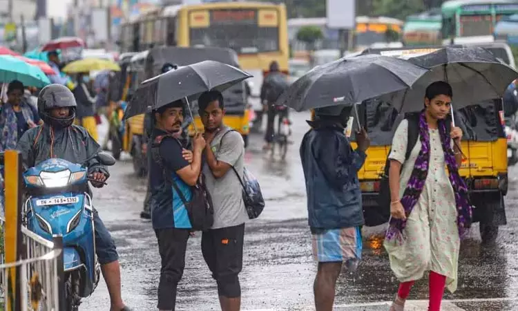 காலை 10 மணி வரை மழைக்கு வாய்ப்பு உள்ள மாவட்டங்கள்...? காலை 10 மணி வரை மழைக்கு வாய்ப்பு உள்ள மாவட்டங்கள்...?