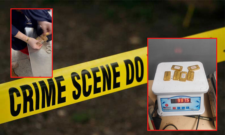 டெல்லி:  6 தங்க கட்டிகளை உள்ளாடையில் மறைத்து விமானத்தில் கடத்தி வந்த பெண் கைது