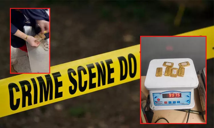 டெல்லி:  6 தங்க கட்டிகளை உள்ளாடையில் மறைத்து விமானத்தில் கடத்தி வந்த பெண் கைது