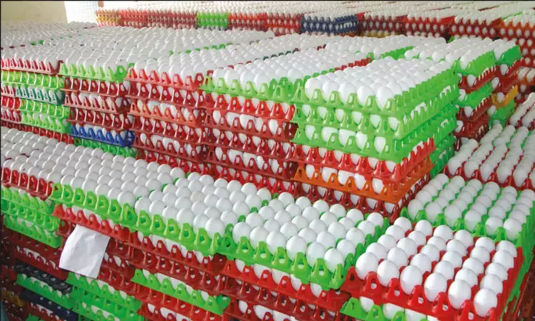 நாமக்கல் மண்டலத்தில் முட்டை ஏற்றுமதி 17¾ கோடியாக அதிகரிப்பு