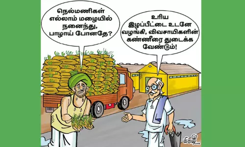 ஈரப்பதத்தால் வாடும் விவசாயிகள் ஈரப்பதத்தால் வாடும் விவசாயிகள்