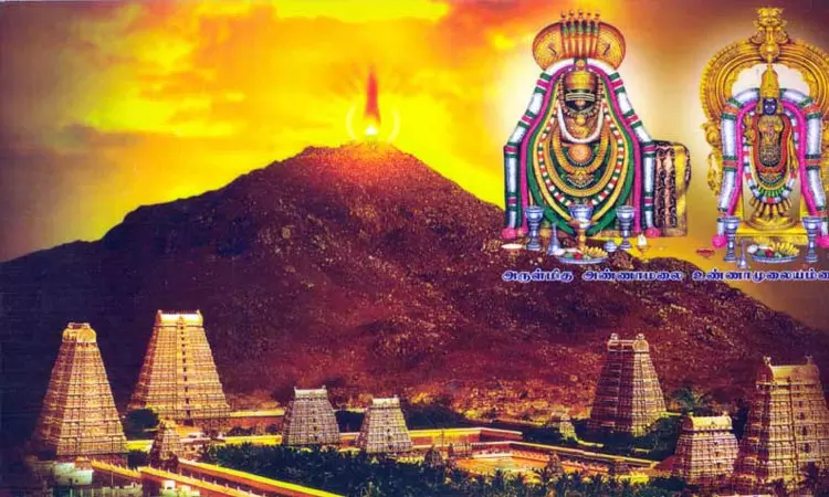 கார்த்திகை தீபத்திருவிழா: பக்தர்கள் அடிப்படை வசதிகள் மேற்கொள்ள 20 கண்காணிப்பு குழுக்கள் அமைப்பு கார்த்திகை தீபத்திருவிழா: பக்தர்கள் அடிப்படை வசதிகள் மேற்கொள்ள 20 கண்காணிப்பு குழுக்கள் அமைப்பு