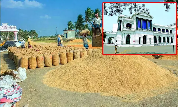 தினமும் நெல் கொள்முதல் நடைபெறுகிறது: தமிழக அரசு தகவல் தினமும் நெல் கொள்முதல் நடைபெறுகிறது: தமிழக அரசு தகவல்