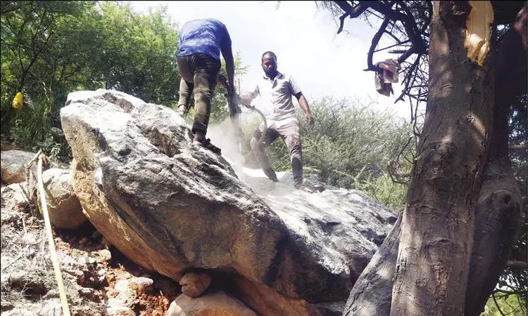 அண்ணாமலையார் மலை அடிவாரத்தில் ஆபத்தான நிலையில் உள்ள 30 டன் எடை கொண்ட ராட்சத பாறை அகற்றும் பணி தீவிரம்