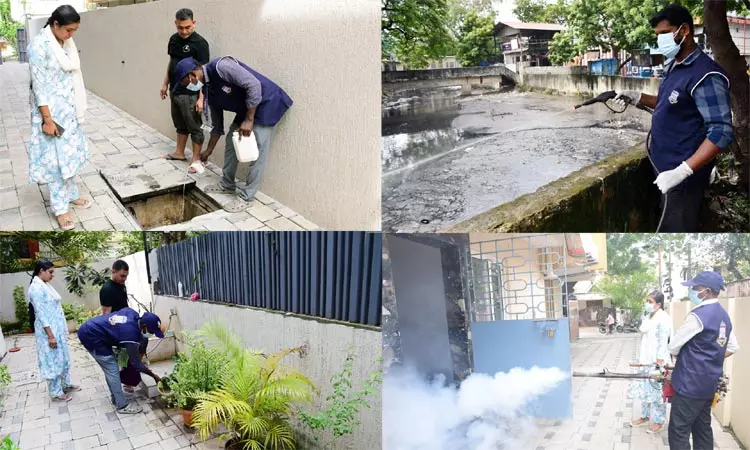 3566 பணியாளர்கள் மூலம், கொசு ஒழிப்பு நடவடிக்கை - சென்னை மாநகராட்சி 3566 பணியாளர்கள் மூலம், கொசு ஒழிப்பு நடவடிக்கை - சென்னை மாநகராட்சி