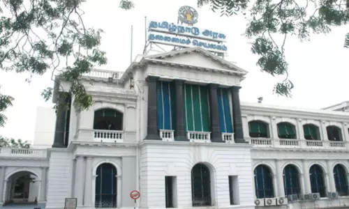 முதல்-அமைச்சரின் நிகழ்ச்சிக்காக பனை மரங்கள் வெட்டப்பட்டதா? - தமிழக அரசு விளக்கம்