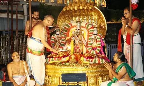 நாக சதுர்த்தி: பெரிய சேஷ வாகனத்தில் மலையப்ப சுவாமி வீதிஉலா நாக சதுர்த்தி: பெரிய சேஷ வாகனத்தில் மலையப்ப சுவாமி வீதிஉலா